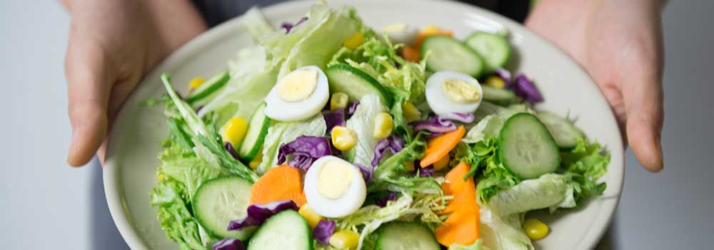 banner-nutricion-web