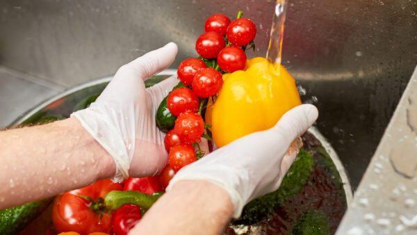 Seguridad alimentaria