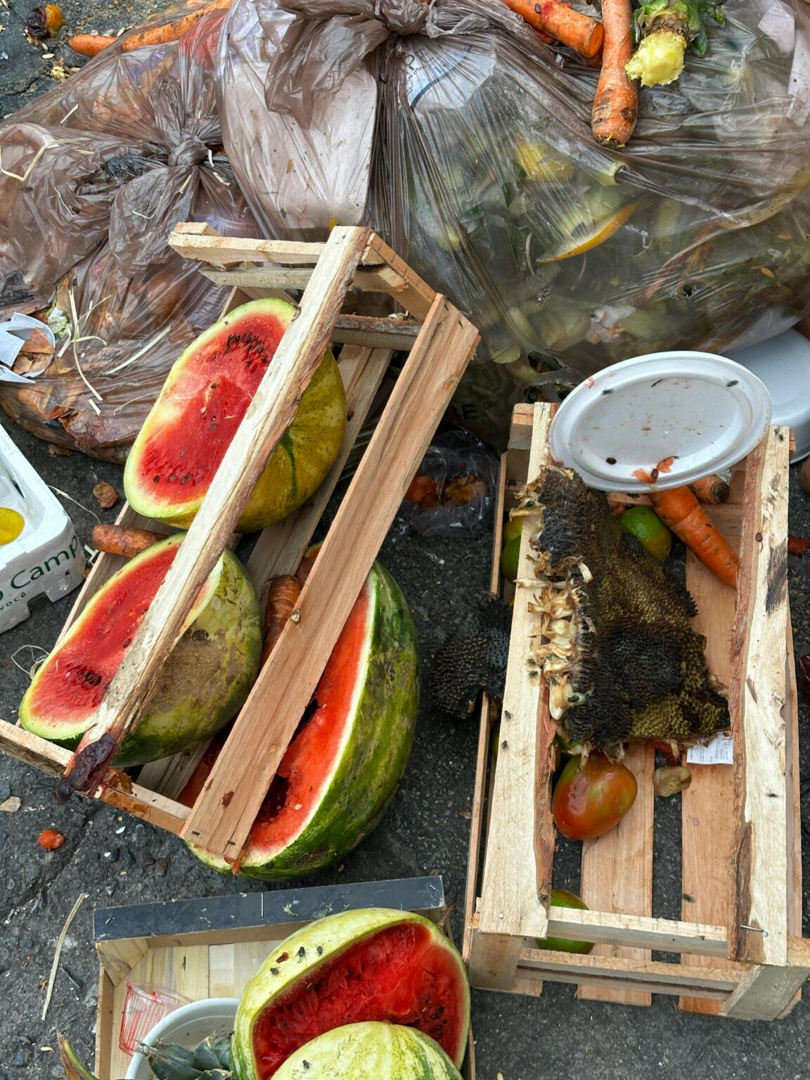 nueva-ley-desperdicio-alimentario-obligatoria